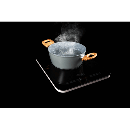 CAN Portable 2100W Single Burner Induction Hob